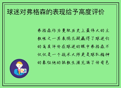 球迷对弗格森的表现给予高度评价