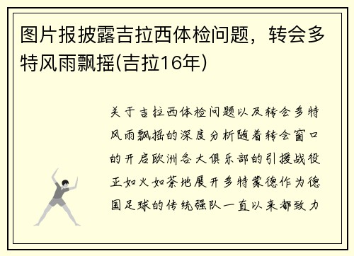 图片报披露吉拉西体检问题，转会多特风雨飘摇(吉拉16年)